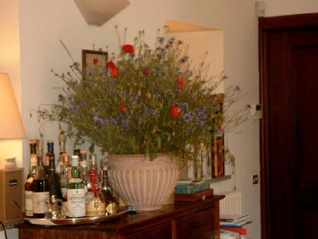 Residenza Del Lago Candia Canavese エクステリア 写真